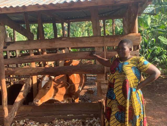 Oyam Communities Continue to Look to PDM for Household Economic Transformation