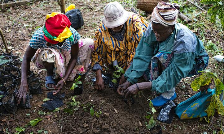 Women Mobilized to Restore Degraded Wetlands in Lira District